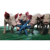 Obrazek Zabawka dla świn Best Farm (51313-00-00)