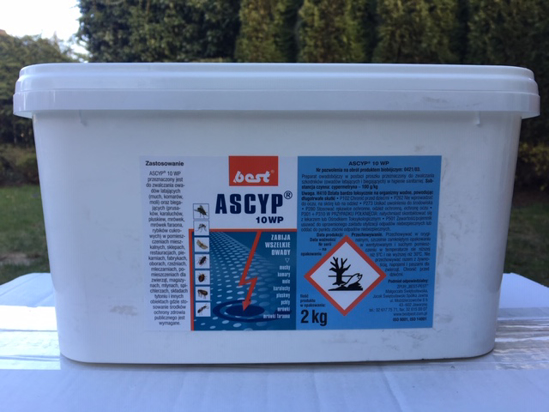 Obrazek Ascyp 10 WP 2 kg preparat owadobójczy