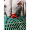 Obrazek Zabawka dla świn Best Farm mini (51325-00-00)